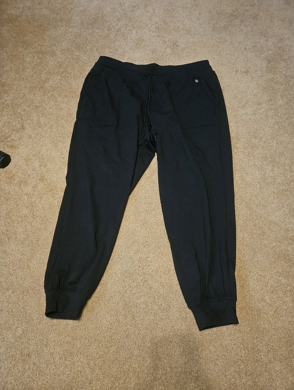 Lane Bryant Joggers